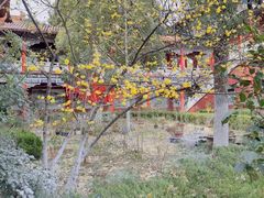 -开福禅寺
