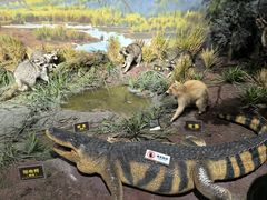 -陕西自然博物馆