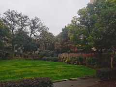 -上海文艺医院