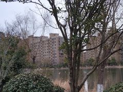 -五里湖湿地公园