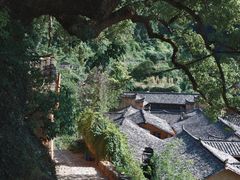-杨家堂村
