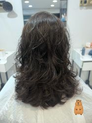 -AFA Hair studio·女士发型设计