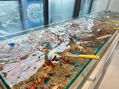 -威海蓝海御华大饭店·蓝钻美食自助百汇