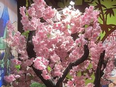 -学习谷日语培训日本留学·多语种外语教学(海淀人大分部)