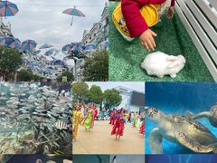 -芜湖新华联大白鲸海洋公园