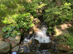 -中国茶叶博物馆(双峰馆区)