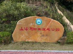 -河源万绿湖美思威尔顿酒店