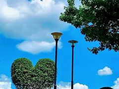 -东莞植物园