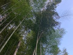 -五泄景区