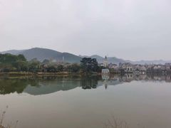 -美的鹭湖森林度假区
