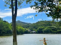 -番禺大夫山森林公园