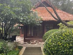 -中国茶叶博物馆(双峰馆区)