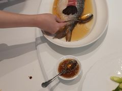 -福1088