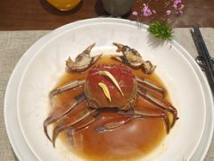 -花锦堂·隐庐