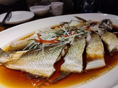 -丹江渔村(望京店)