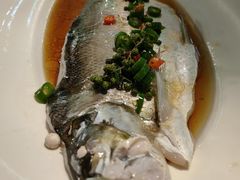 -绿茶餐厅(天津天河城店)