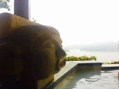 -天目湖涵田半山温泉