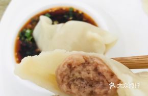 Fresh Meat Dumplings