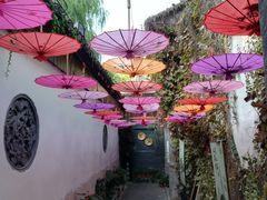 -鱼食饭稻·苏浙土菜17年老馆子(平江路店)