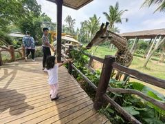 -海南热带野生动植物园
