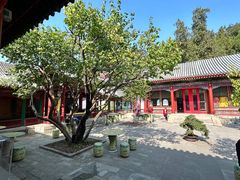 -宫事颐庭·老佛爷贵寿下午茶(颐和园店)