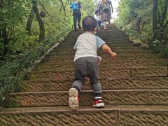 -杭州半山国家森林公园