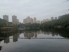 -重庆彩云湖湿地公园