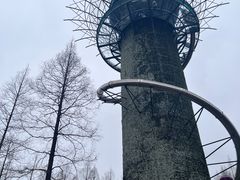 -黄海国家森林公园