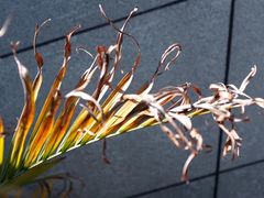 -UNI UNI(环亚凯瑟琳店)