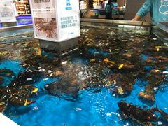 -盒马鲜生(悦峰店)