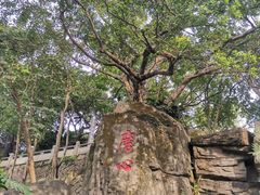 -船政文化景区-罗星塔公园