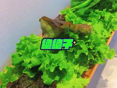 生菜-六七八韩式烤肉·韩国料理(上杭路店)