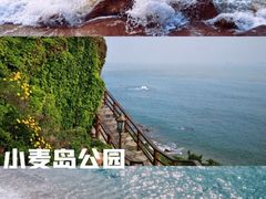 -八大关景区
