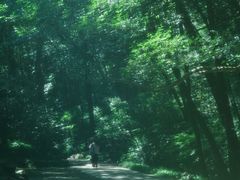 -虎跑公园