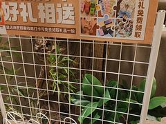 -北李妈妈菜·海肠捞饭(高新万达店)