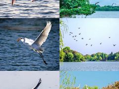 -海合安武汉极地海洋公园