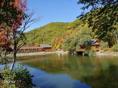 -参仙谷生态旅游度假区