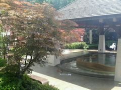 -天目湖涵田半山温泉
