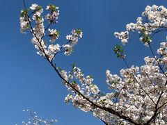 -苏州上方山国家森林公园