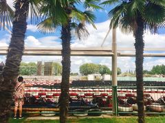 -太阳岛度假酒店