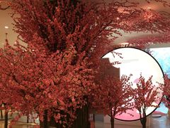 -Tiffany & Co.蒂芙尼
(南京德基广场店)