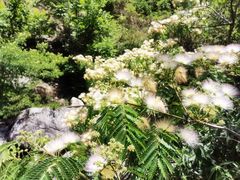 -苍山世界地质公园·石门关大峡谷