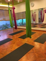 -一花一叶瑜伽生活馆