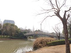 -南翔镇银翔湖公园