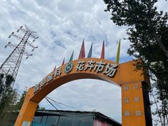 -金科花卉市场