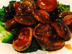 -翠华餐厅(湾仔店)