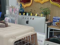 -四月宠物医院·猫专科·心脏专科·内科(转塘店)