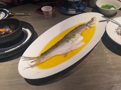 -桂满陇·西湖船宴(雨花店)