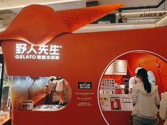 -野人先生现做冰淇淋(北京王府井东方新天地店)