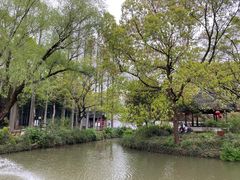 -上海醉白池公园
